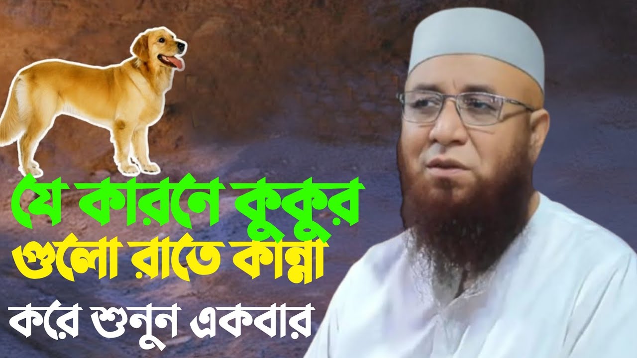 যে কারণে কুকুরগুলো রাতে কান্না করে শুনুন একবার 😭😭😭 Nazrul Islam Kasemi waz মুফতি নজরুল ইসলাম কাসেমী 