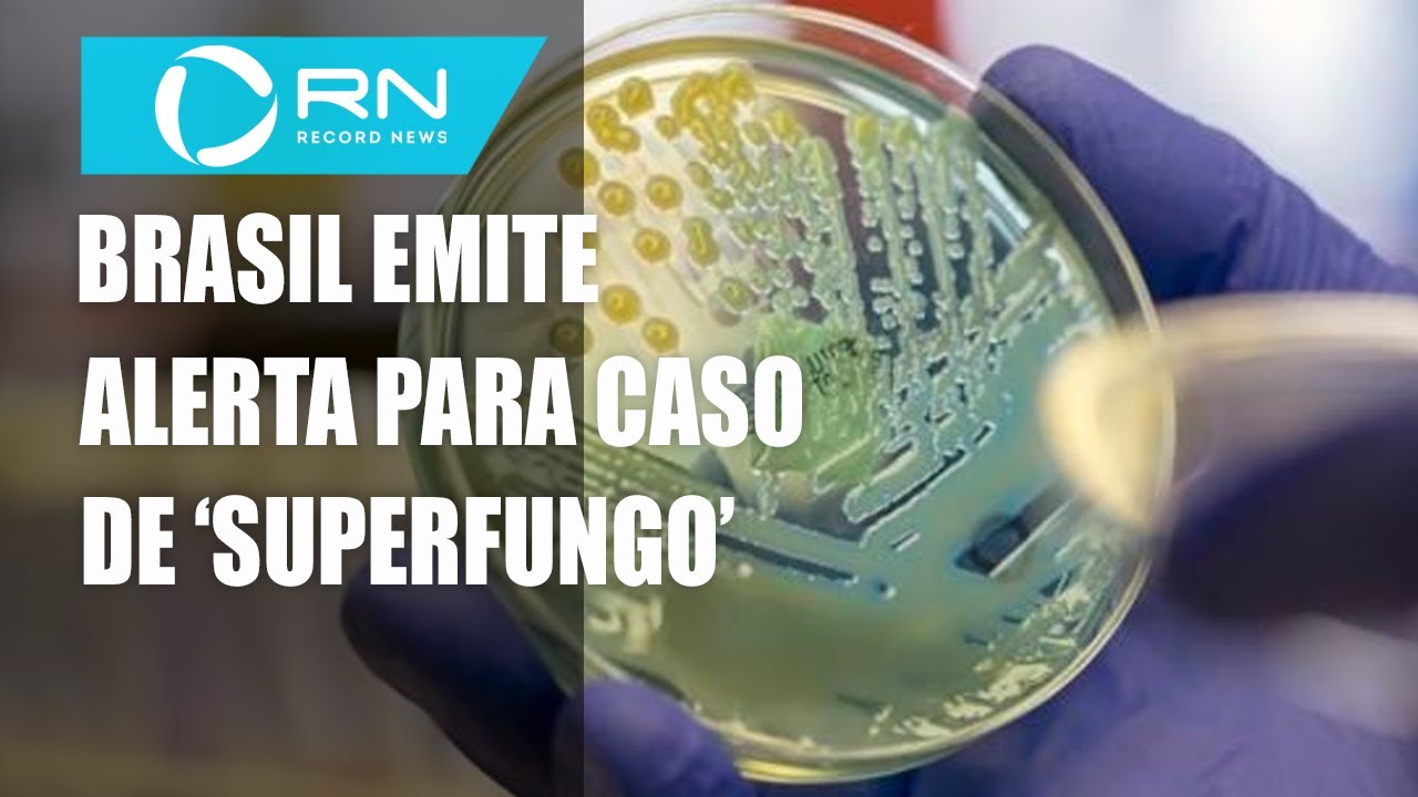Brasil investiga 1&ordm; caso de fungo 'superfungo' resistente a medicamentos