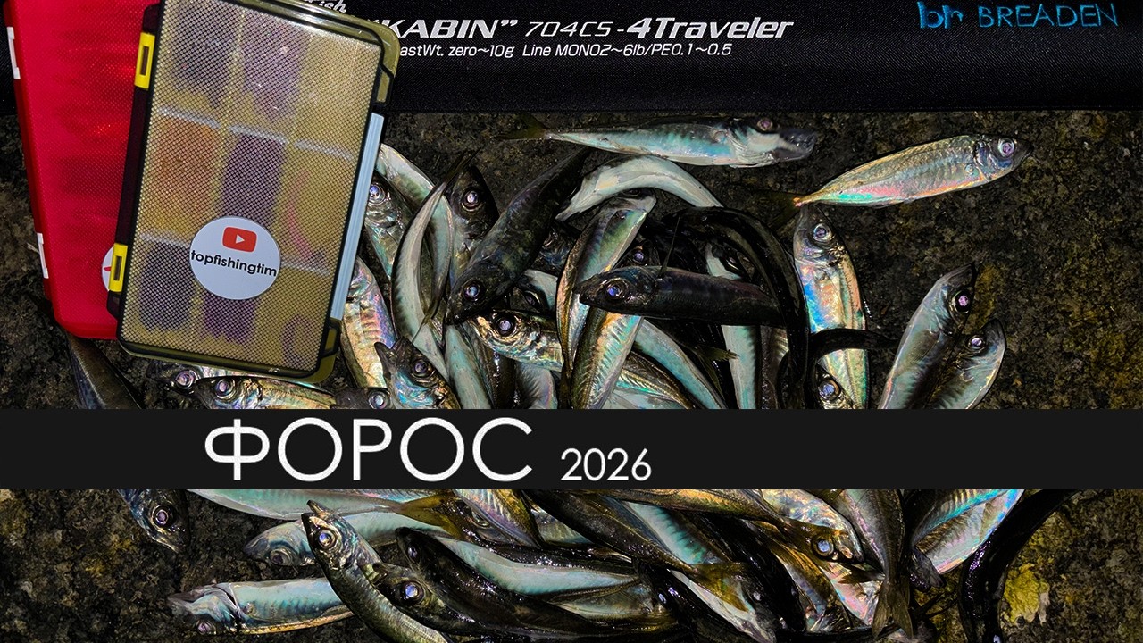 Ловля ставриды в Крыму. Форос- сезон 2026 открыт. Весенняя рыбалка на Черном море.