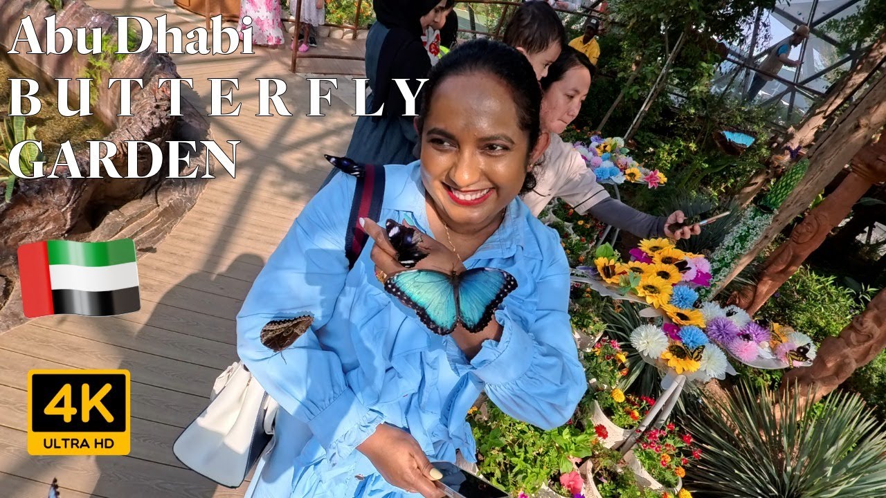 How to Play with Butterflies in the Middle East  - The Butterfly Gardens Abu Dhabi - UAE