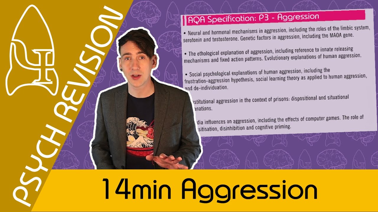 Aggression - AQA Psychology UNDER 20 MINS! Quick Revision for Paper 3