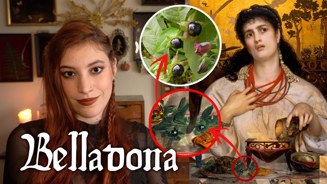 La BELLADONA💀🌿: ungüento de brujas y peligroso cosmético || Hierbas brujas