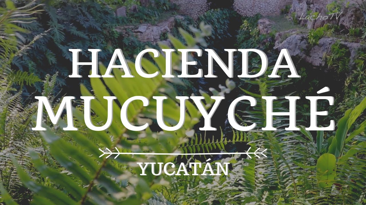 Hacienda MUCUYCHÉ  y sus increíbles Cenotes | Mérida, Yucatán
