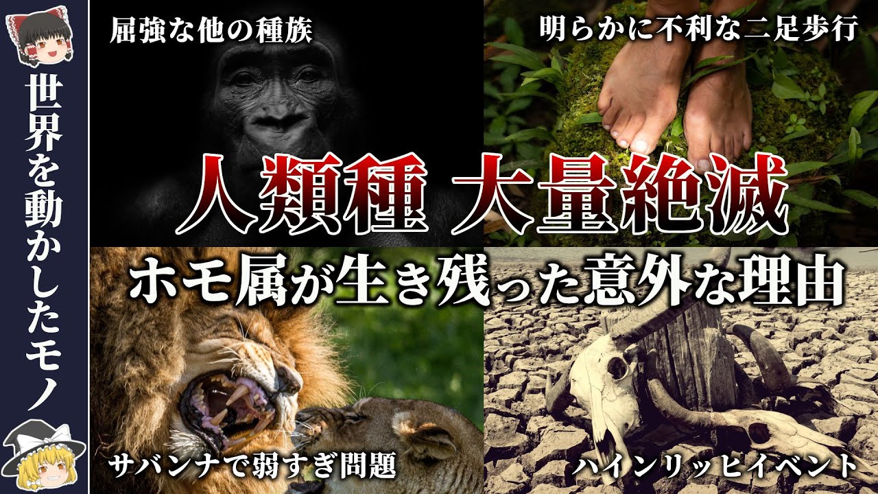 【絶滅の人類史】幾度も絶滅を乗り越えた人類【ゆっくり解説】急激な気候変動により過酷な環境での生存を強いられた人類｜度重なる自然淘汰により人類は大きく進化した