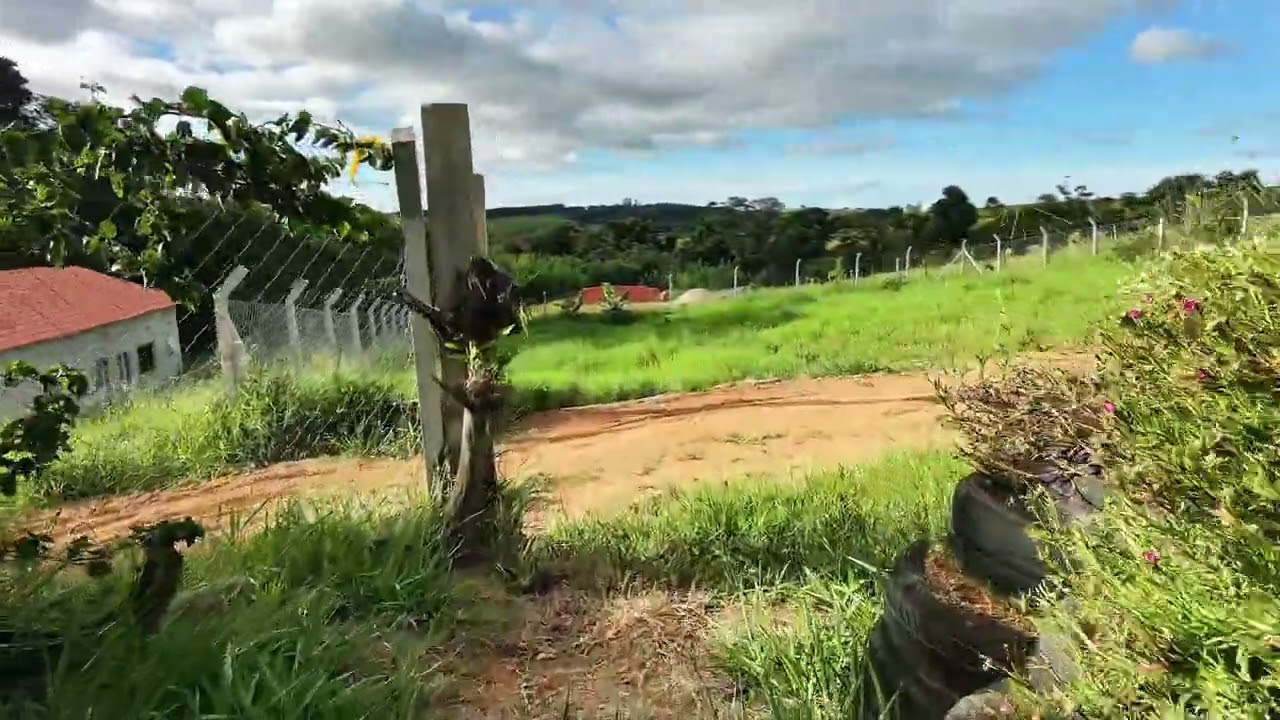DJI neo 2 FPV