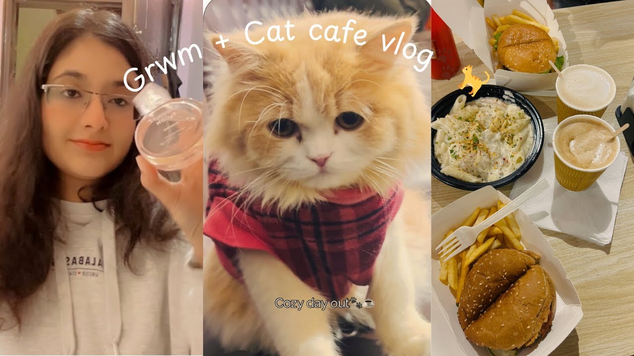 A soft, cozy day at a cat café | GRWM vlog♥️