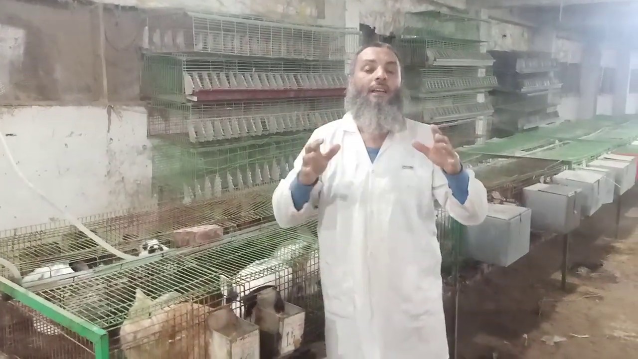 ارانب الخير امشى عدل يحتار البكتيري فيك