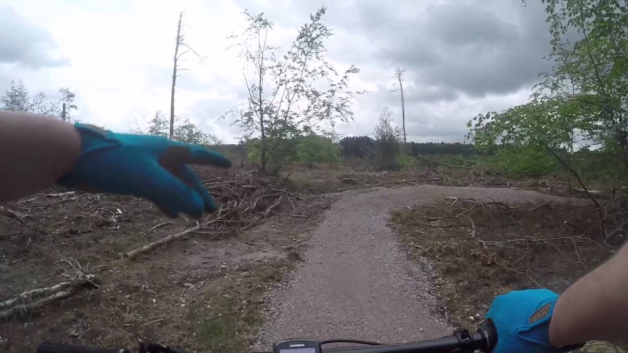 New Section Of The Lime Burner Thetford Forest 20th May 2016