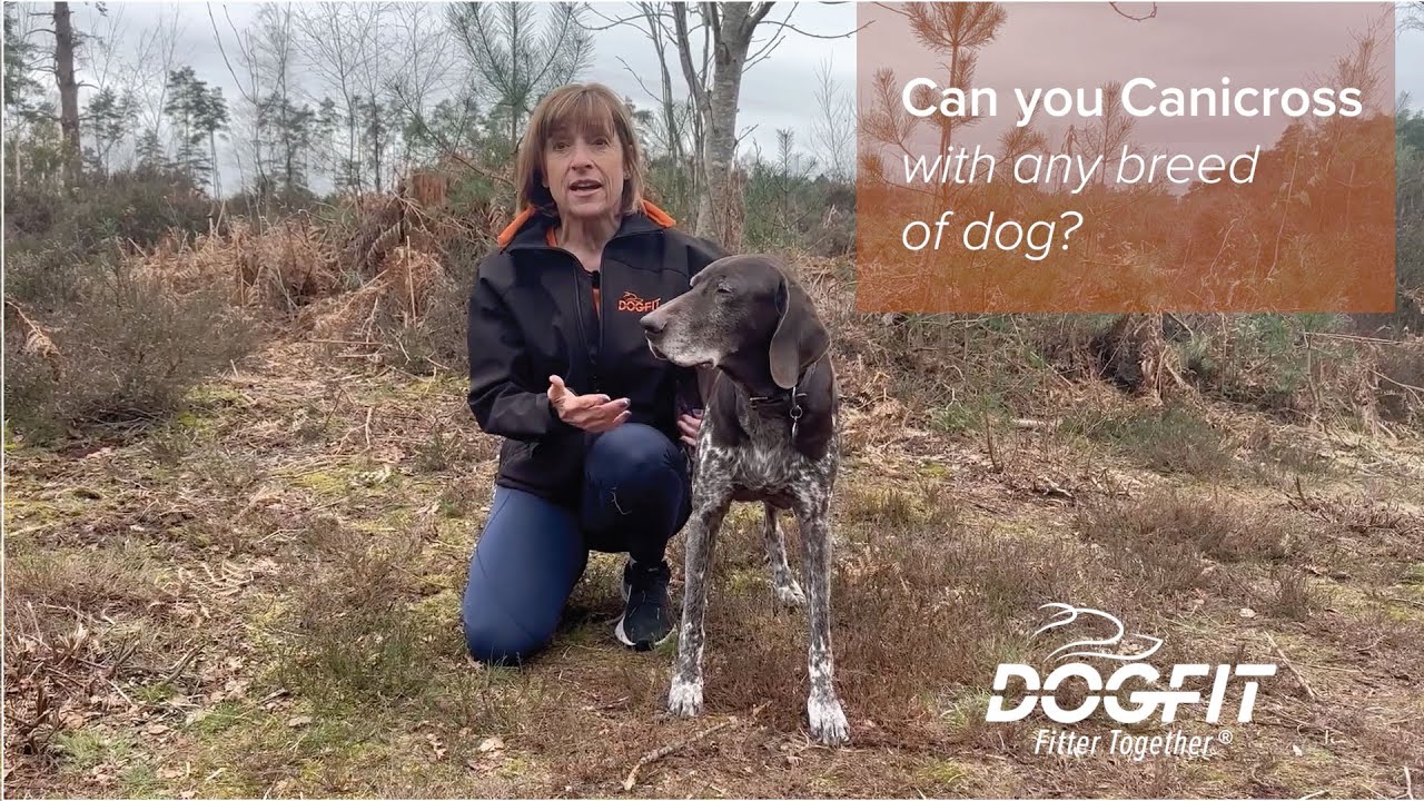 Can you Canicross with any breed of dog? 🐾