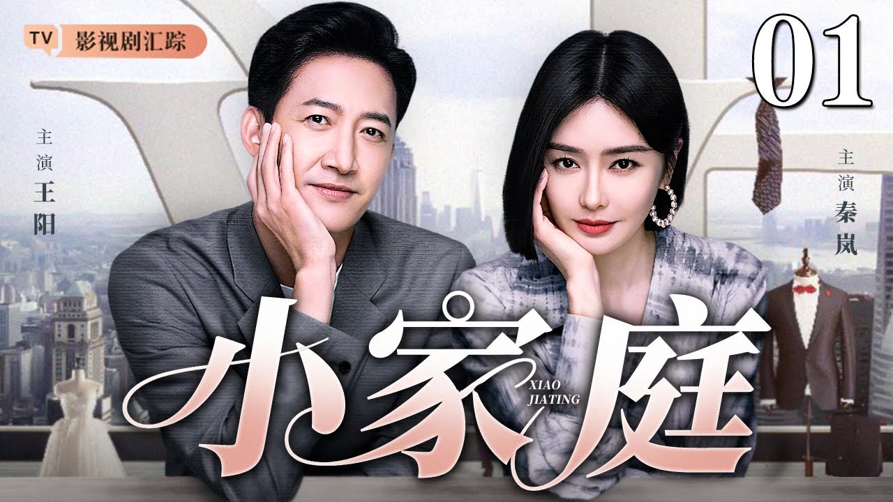 【2025最新都市剧】小家庭 01｜#秦岚 #王阳 演译小家庭的酸甜苦辣！（#秦岚 /#王阳 /#都市情感电视剧 )