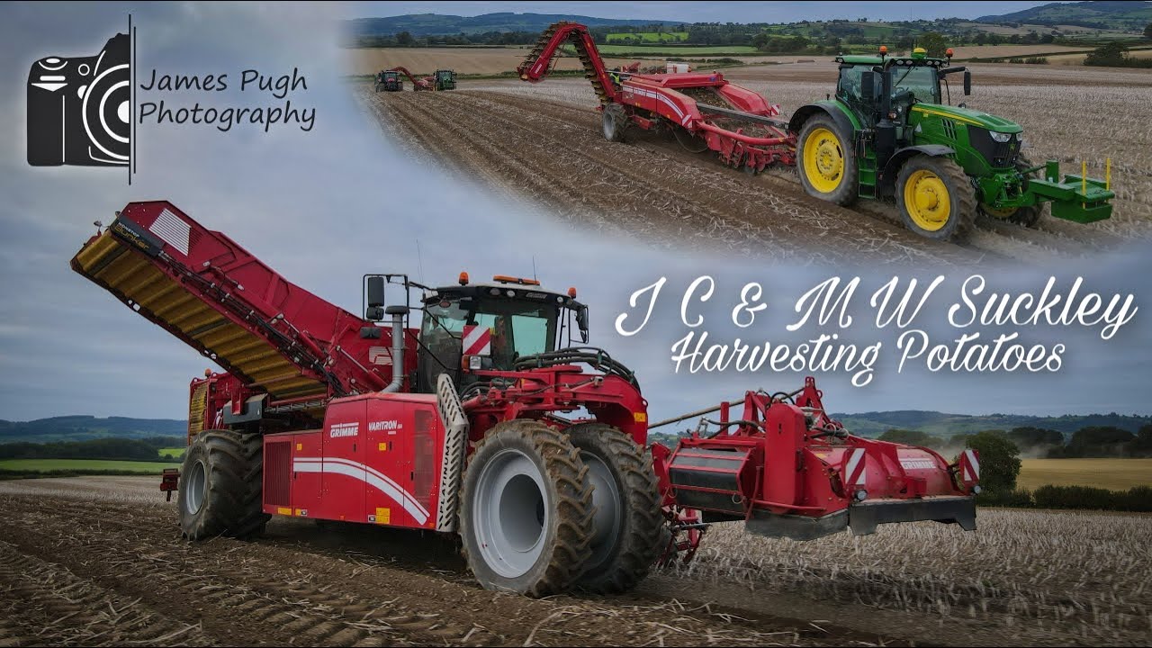 Harvesting Potatoes 2020 - J C & M W Suckley
