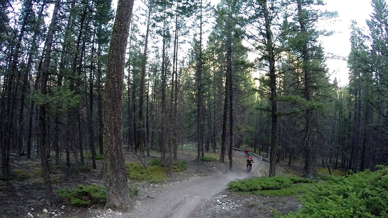 Star Wars Trail
