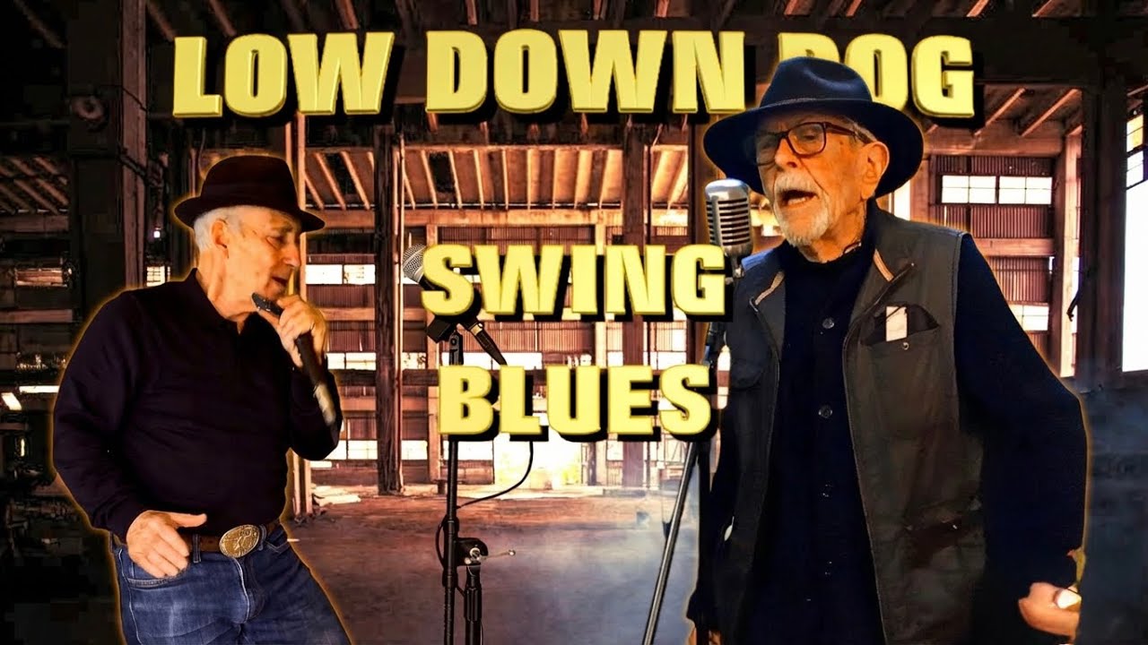 🔥Blazing Harmonica & Pure Energy⚡️ Bowl Alley Bluesmen 