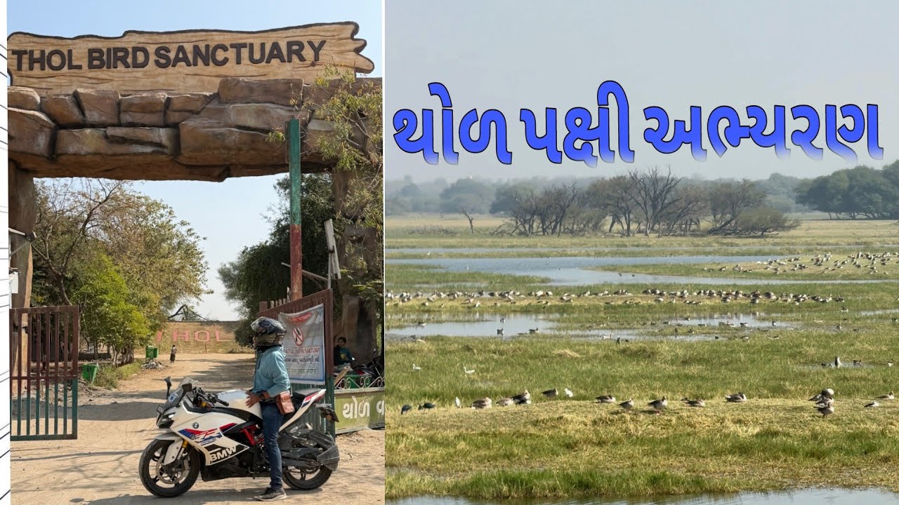Thol bird century sanand Ahmedabad Gujarat 2026 થોળ પક્ષી અભ્યરણ 
