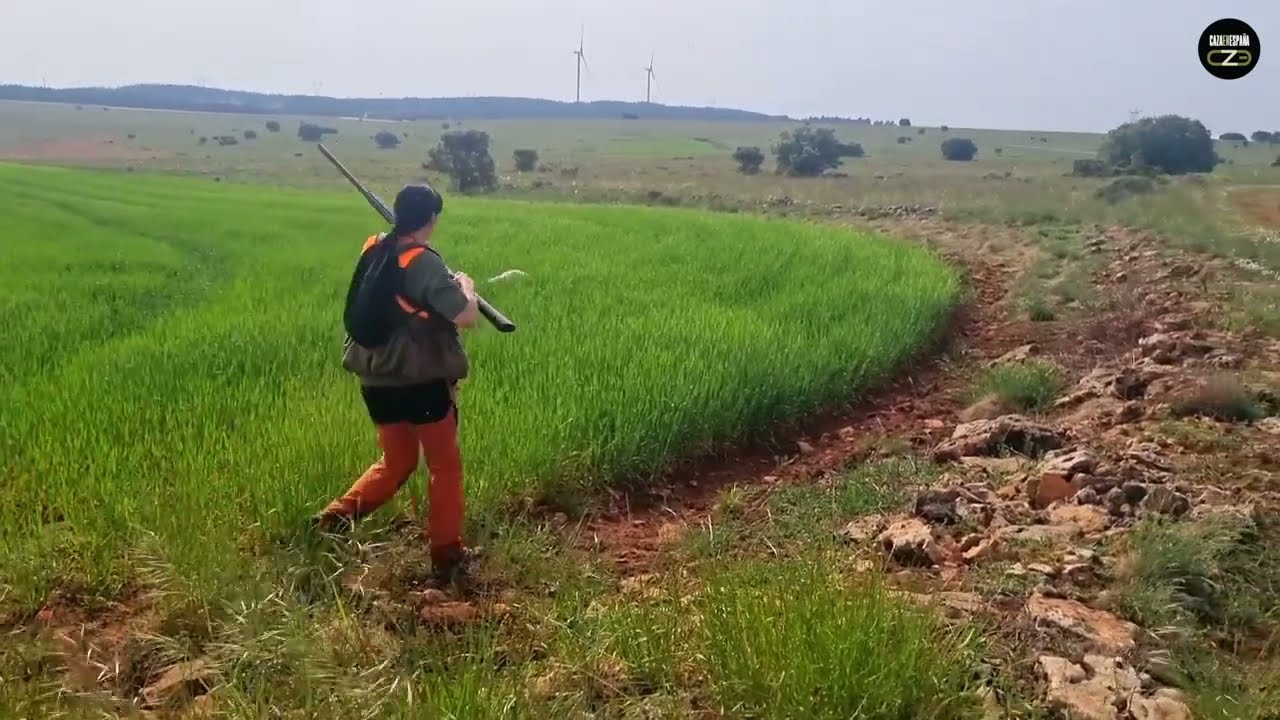Master de campeones Cernégula perdiz y codorniz 2025