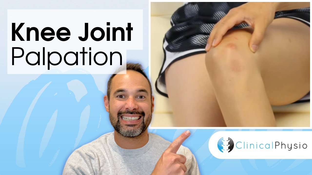 Knee Joint Palpation | Clinical Physio