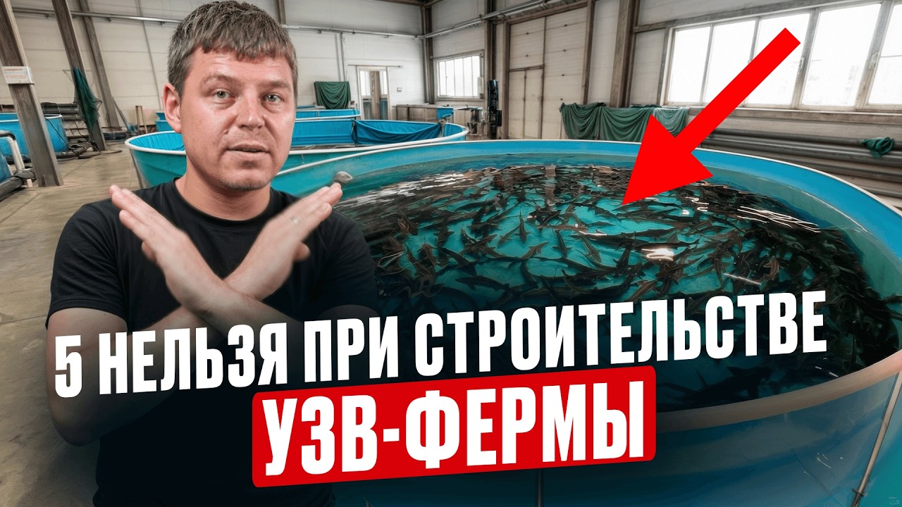 5 вещей, о которых жалеют после строительства рыбной УЗВ фермы. Не повторяйте ЭТИ ошибки!