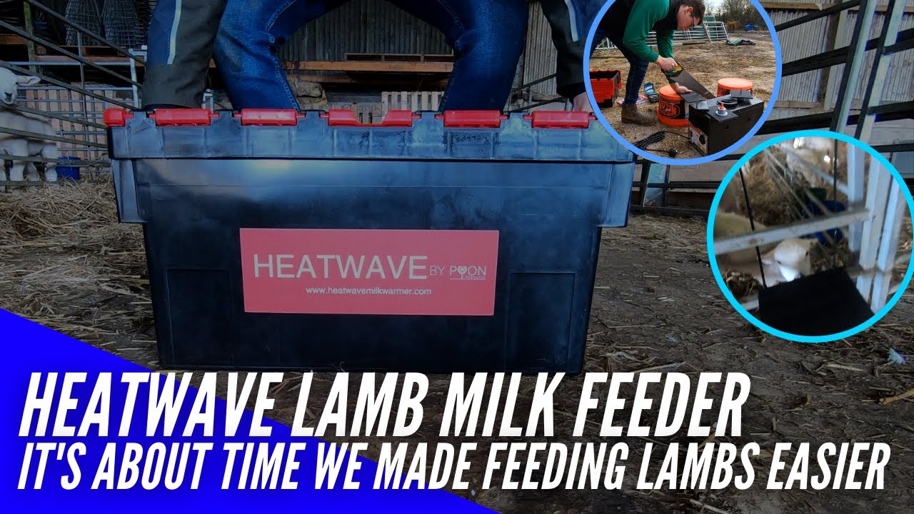 HEATWAVE MILK FEEDER | ABOUT TIME WE MADE FEEDING LAMBS EASIER
