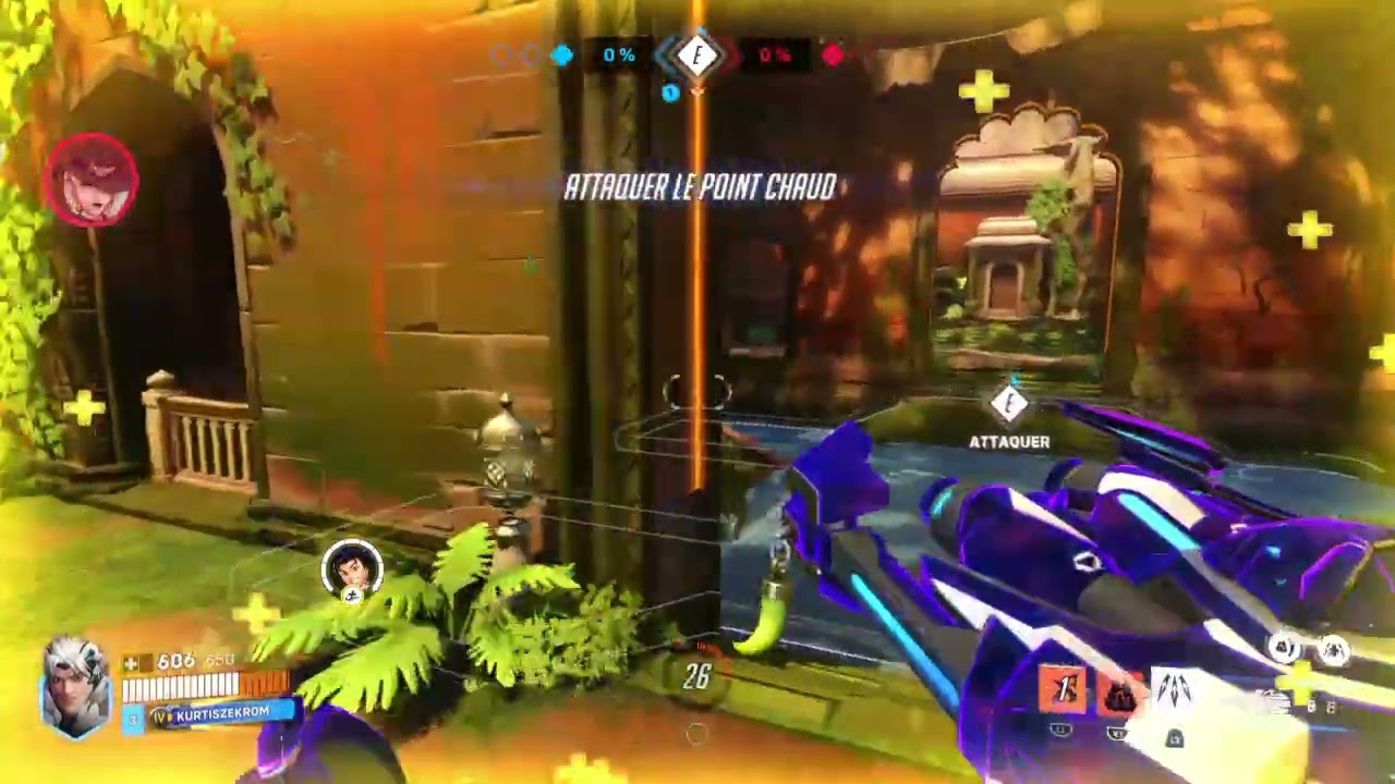 Overwatch 2 points chauds ours polaire