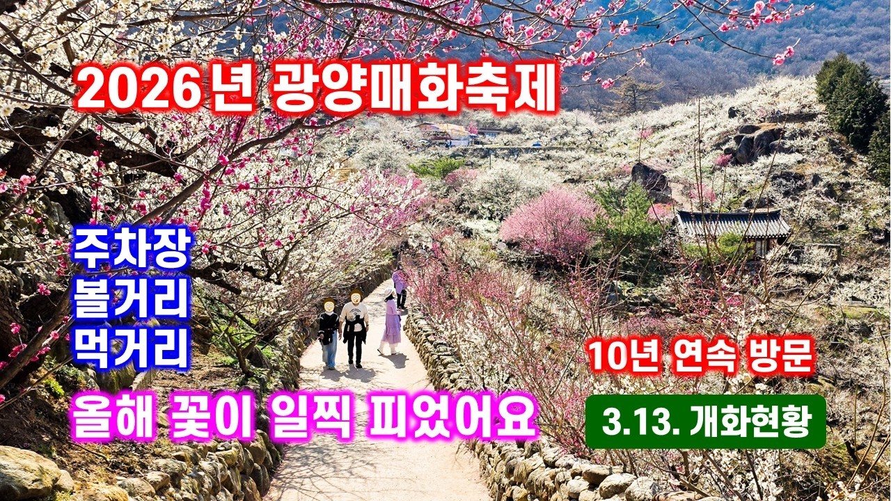 2026 광양매화축제 - 개화현황, 주차장, 볼거리, 먹거리 - 해산강트래블(海山江 travel)