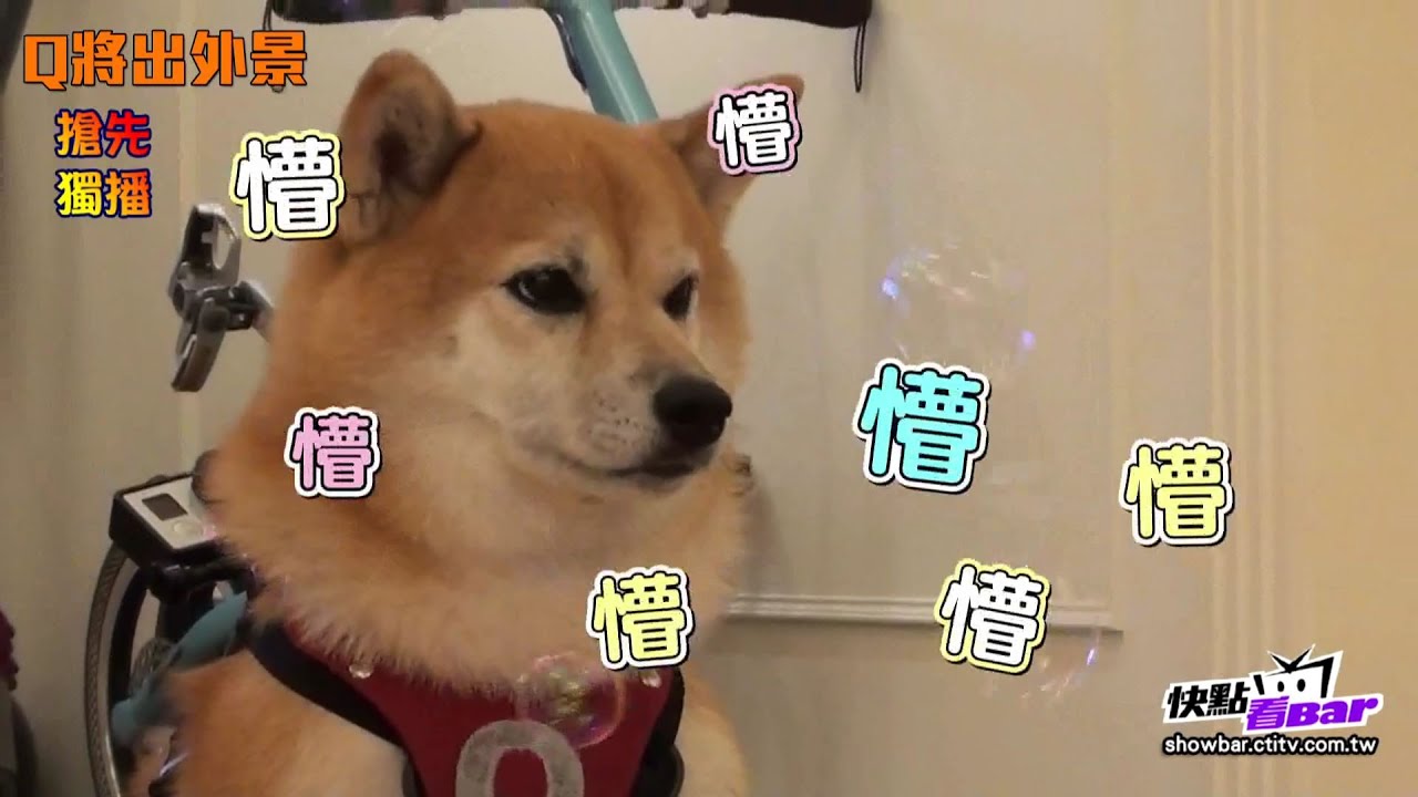 《搶先獨播》Q將開心出外景　泡泡連擊萌樣大爆發