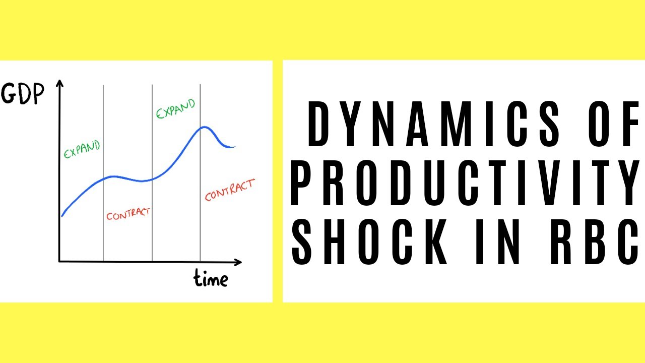 Dynamics of a Productivity Shock in the Real Business Cycle Model