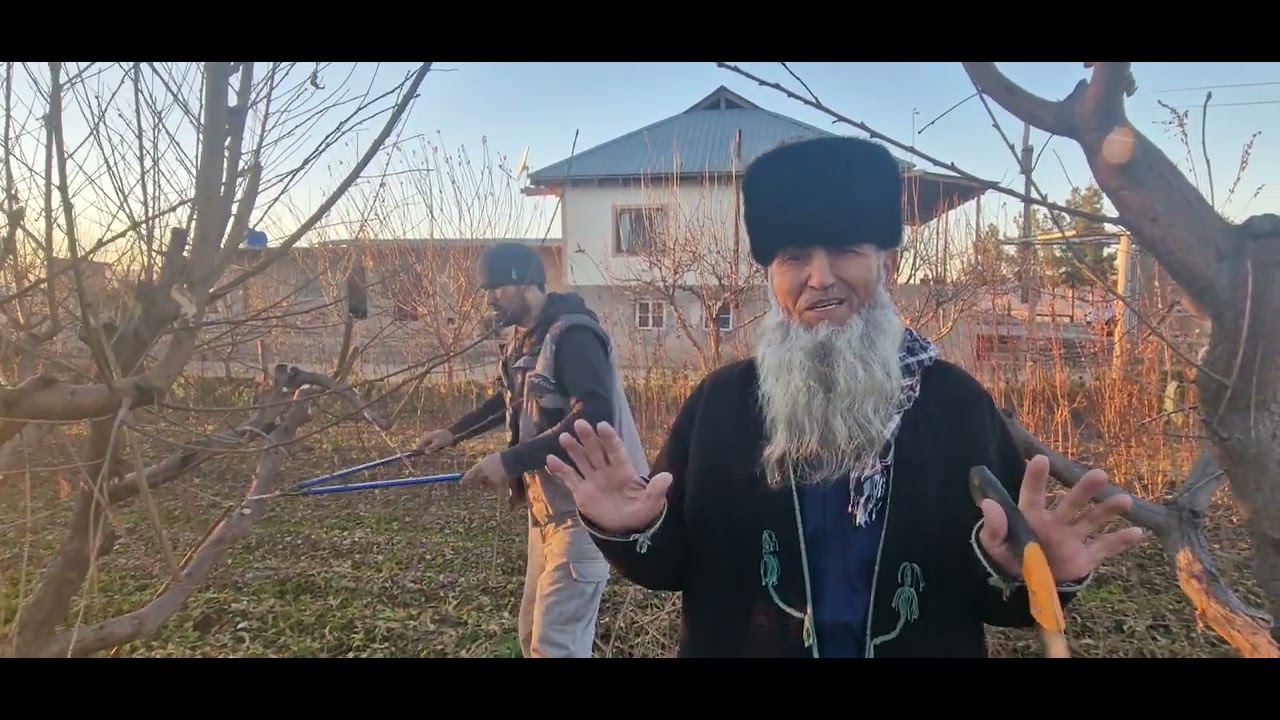 шафтолухои ҳоҷи Қиёмиддин дар шаҳри Левакан. Бохтар.