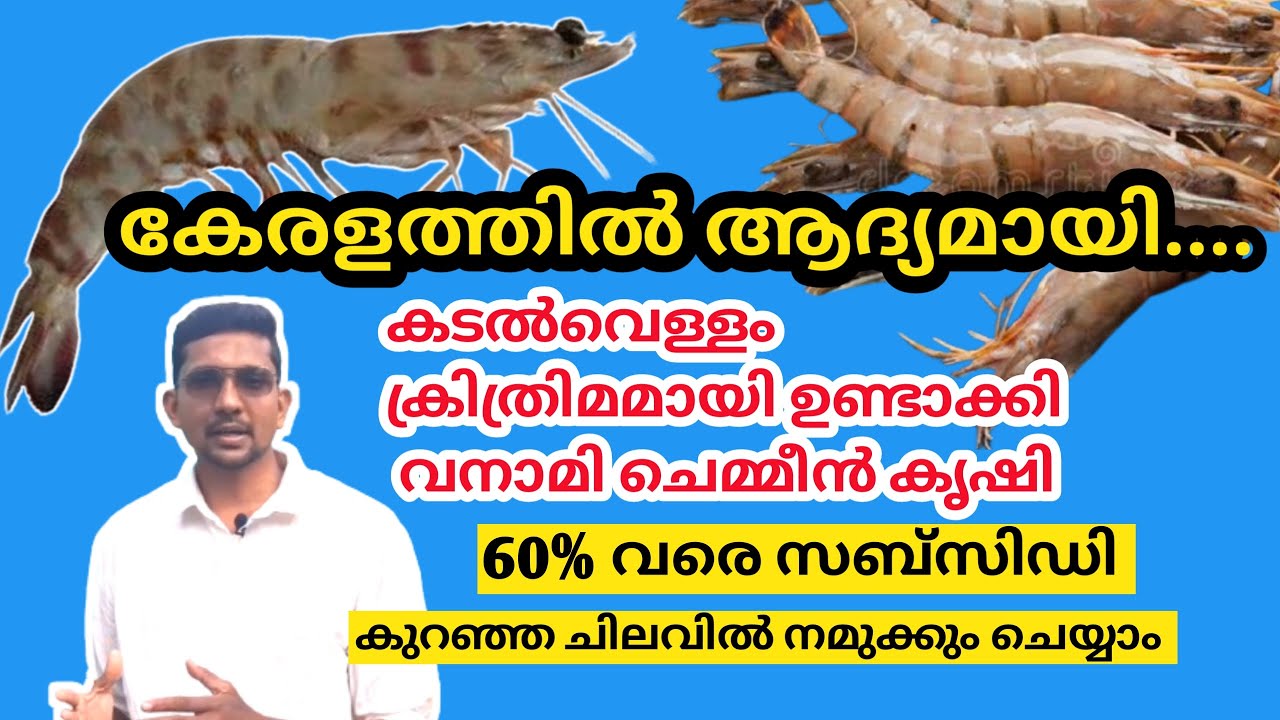 കടൽവെള്ളം ക്രിത്രിമമായി ഉണ്ടാക്കി വനാമി ചെമ്മീൻ കൃഷി | Biofloc farming malayalam