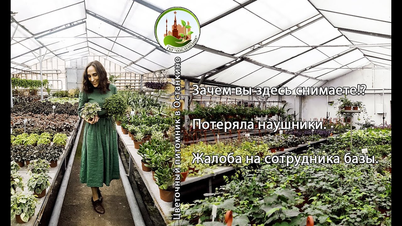 Цветочный питомник в Останкино/зачем вы здесь снимаете?/потеряла наушники