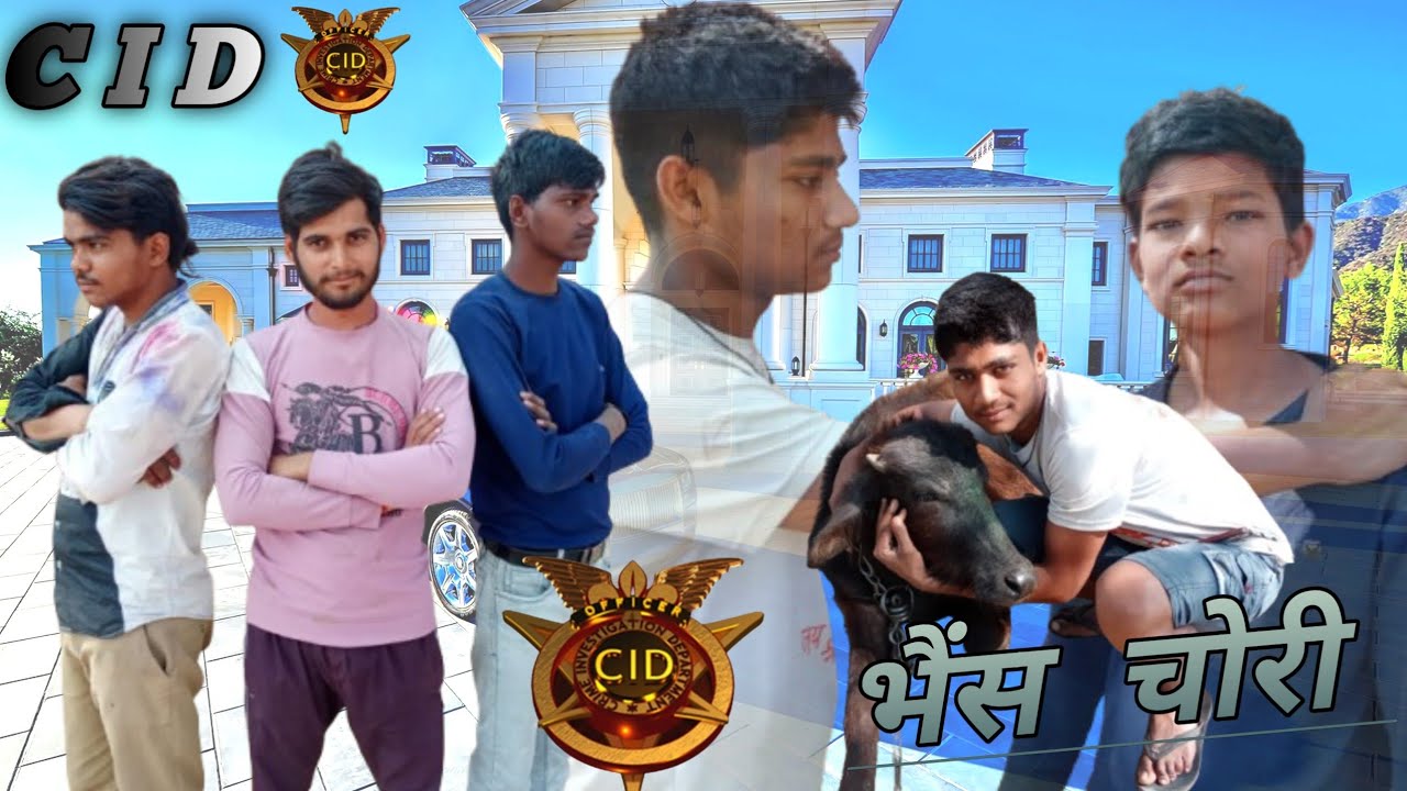 भैंस चोरी गांव में cid 🪽💢 lofi haven Hathras New video subscribe plz 😎 support full