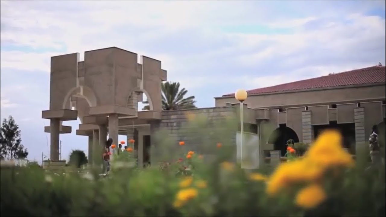 Mekelle Institute of Technology MIT, Tigray Development Association, TDA