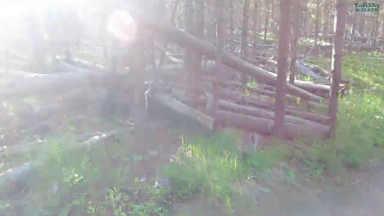 Hike the Ice Lake Trail, Yellowstone National Park