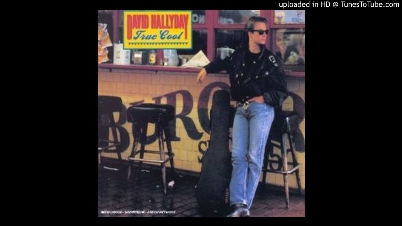 David Hallyday-Vertigo ( Powerock4fun )