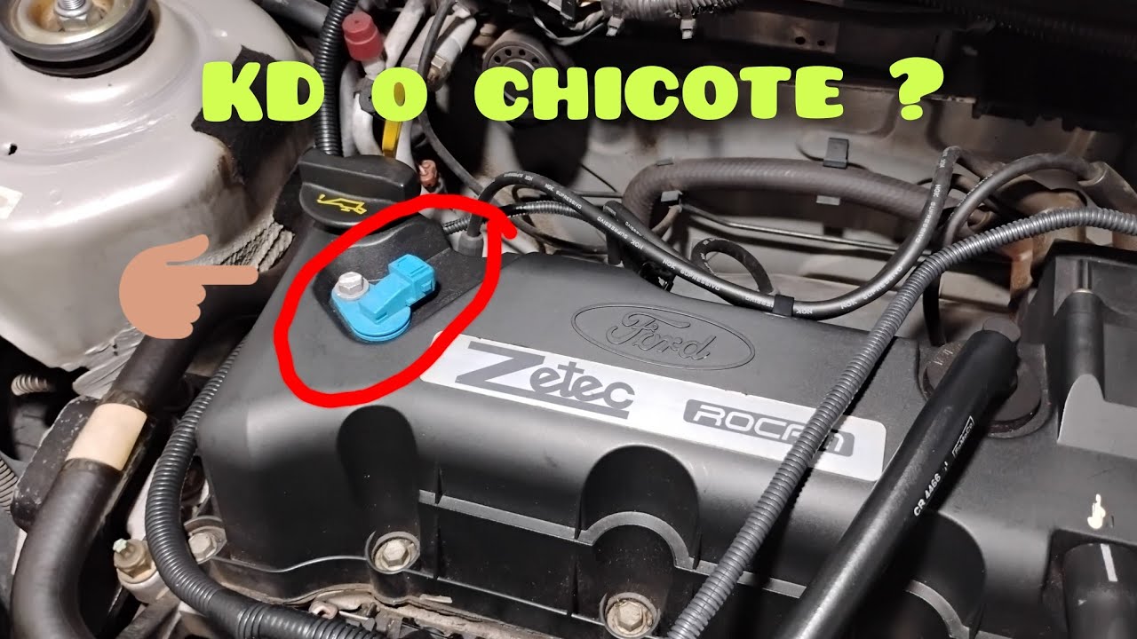 Porque o SENSOR de fase do motor Zetec Rocam tá sem o chicote?