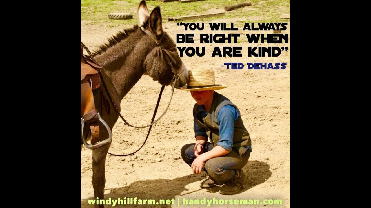 How To Deal With Horse Behavioral Problems
