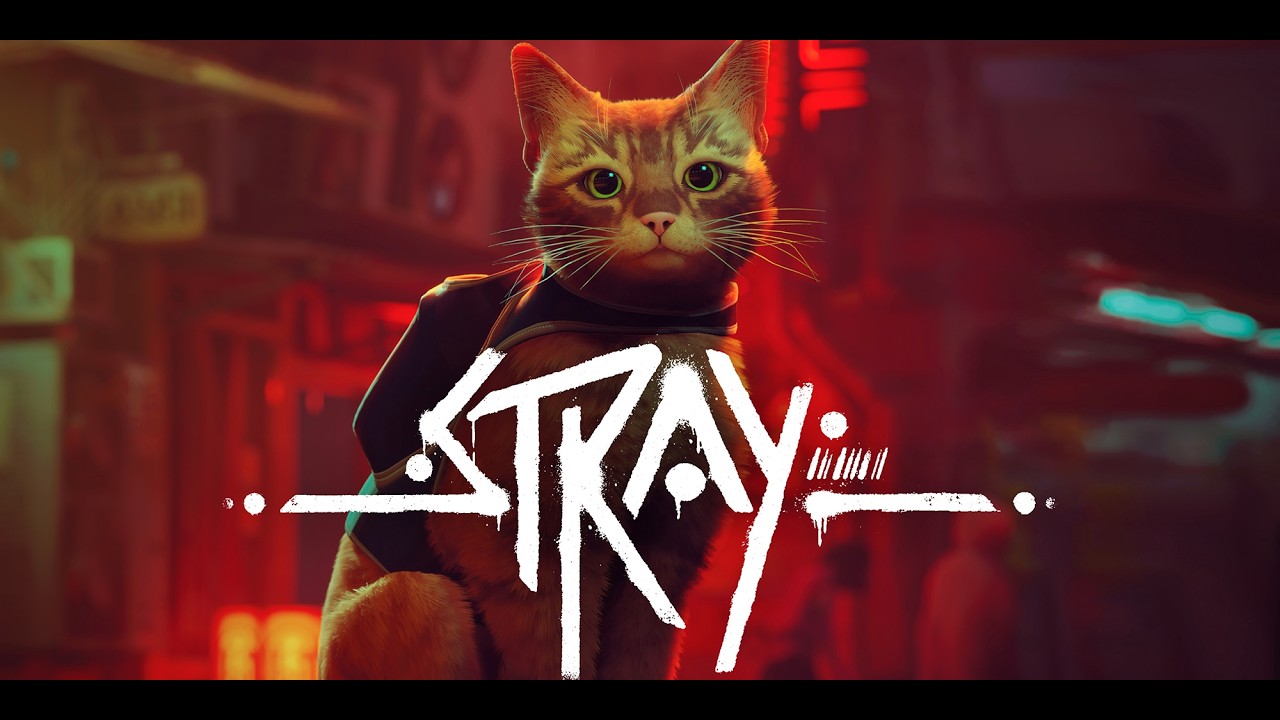 Stray - Chapitre 3 : L'appartement