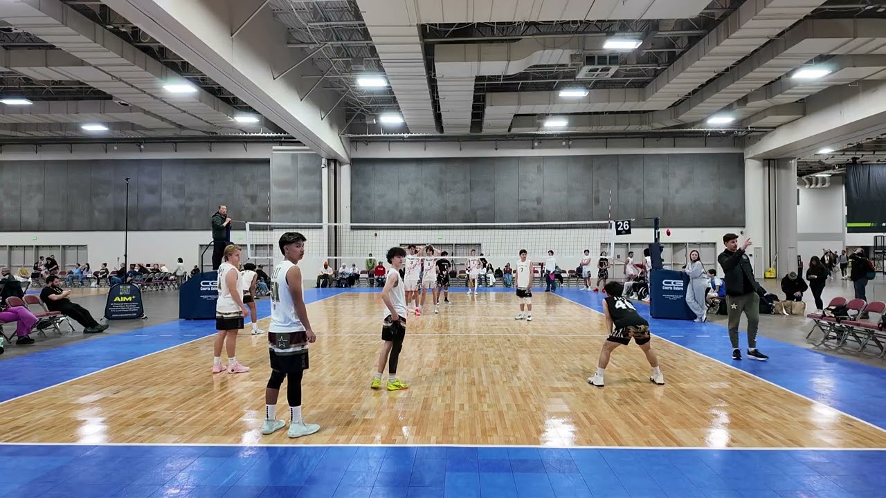 Apex1 17B vs ECVBA set 1
