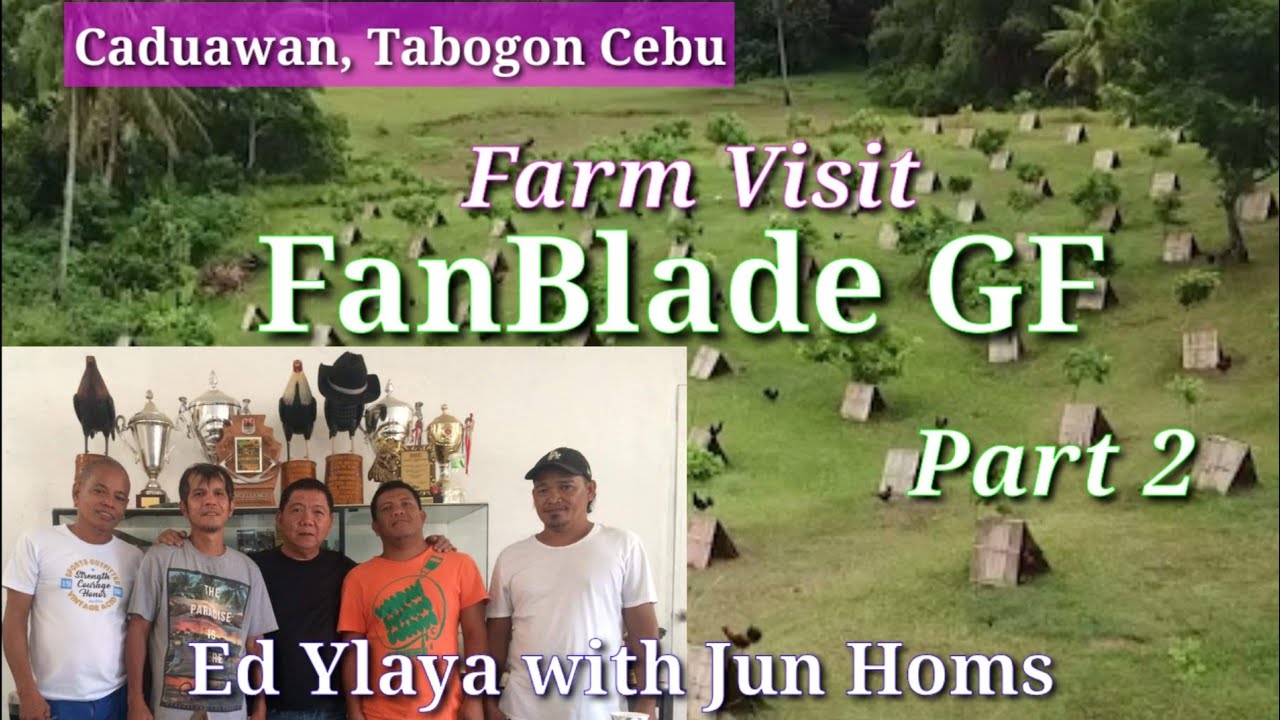 EP387 part 2: Farm Visit/FanBlade GF/Ed Ylaya