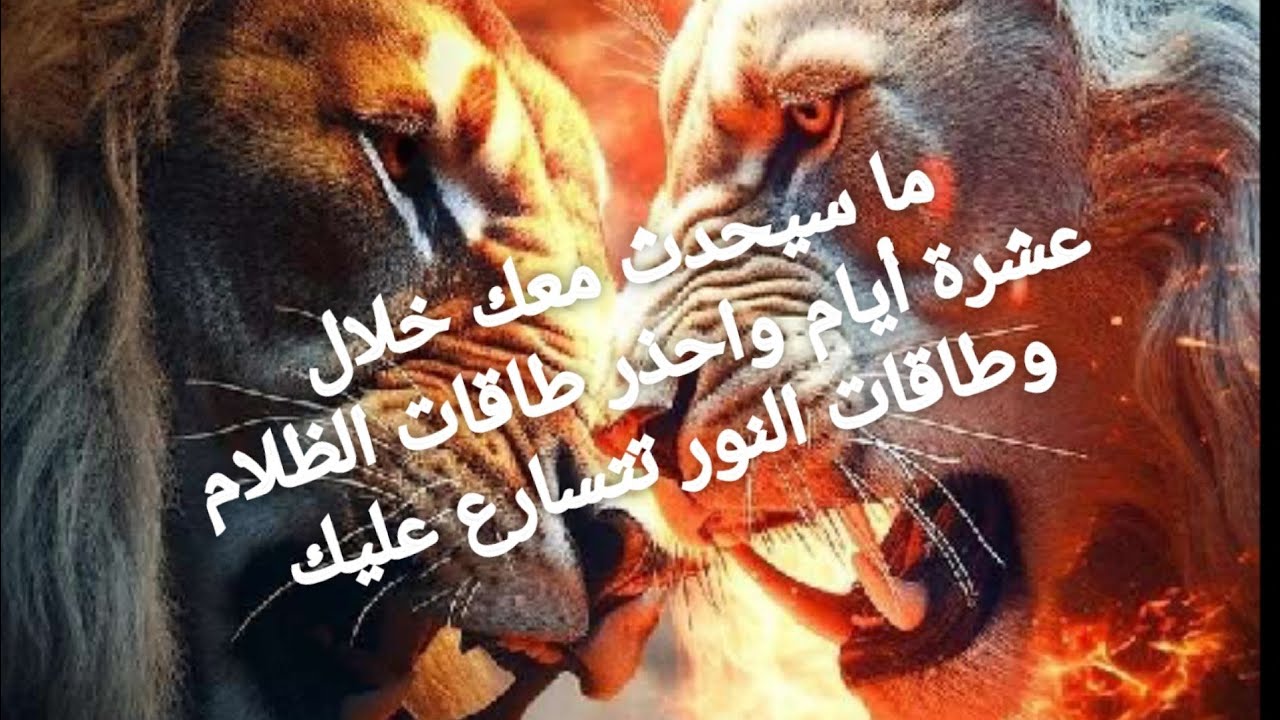 ما سيحدث خلال عشرة أيام ويوجد تحذير طاقات الظلام وطاقات النور تتسارع عليك