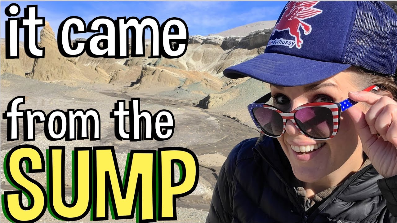 #688 The Sump: Nevada's un-Glamorously Named But Weirdly Beautiful and Mysterious Petrified Swamp!