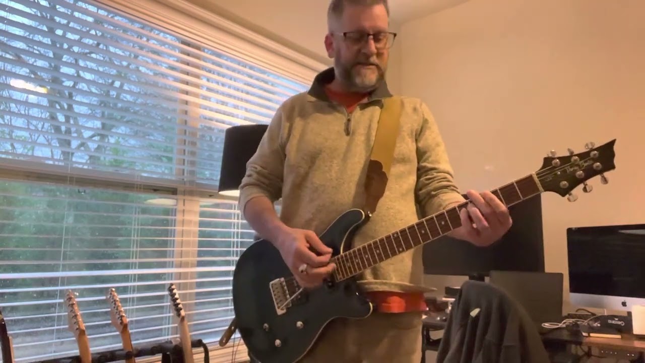 $30 Guitar Sustainer with Feedback of the Gods?? Yes please!