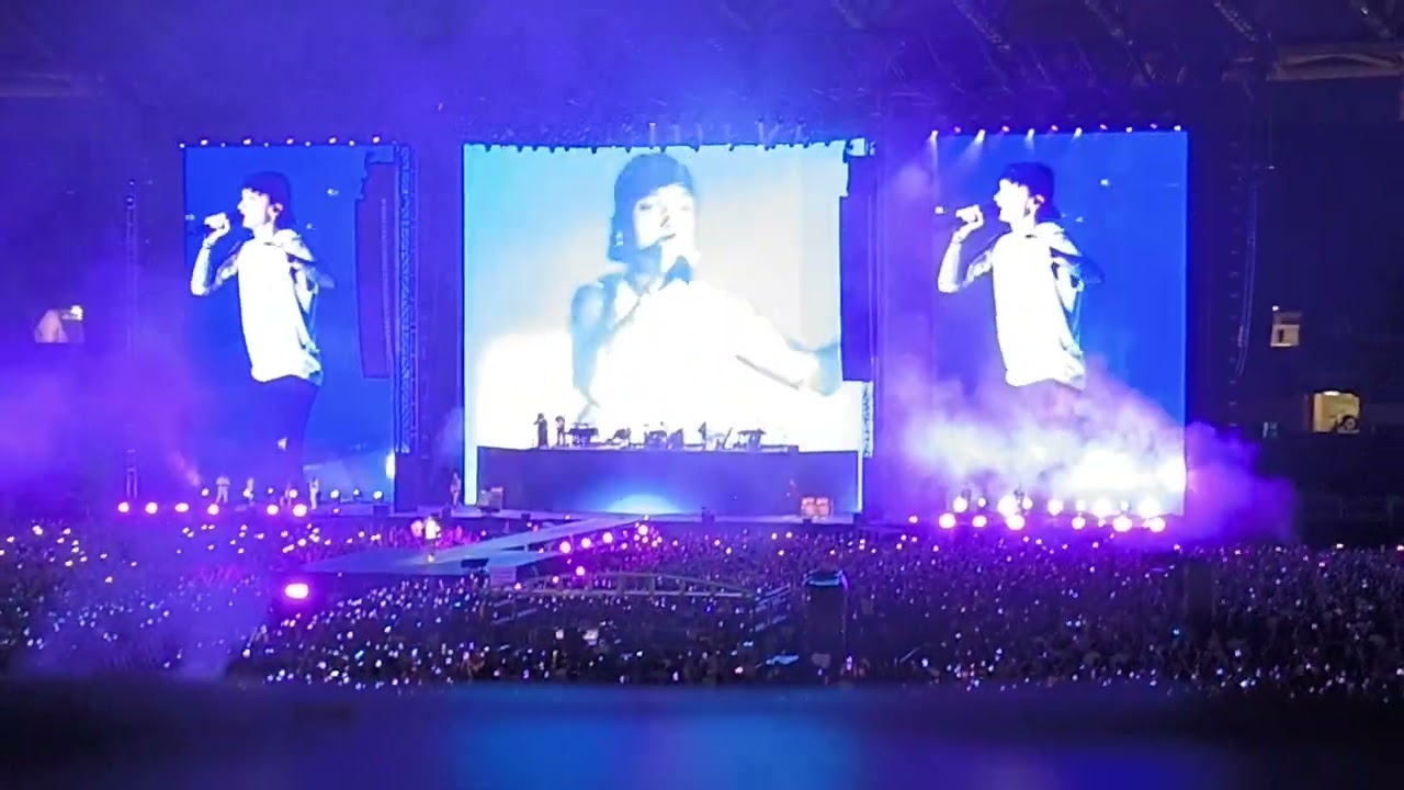rondini al guinzaglio ❤️ concerto #ultimo #stadioolimpico #22giugno2024
