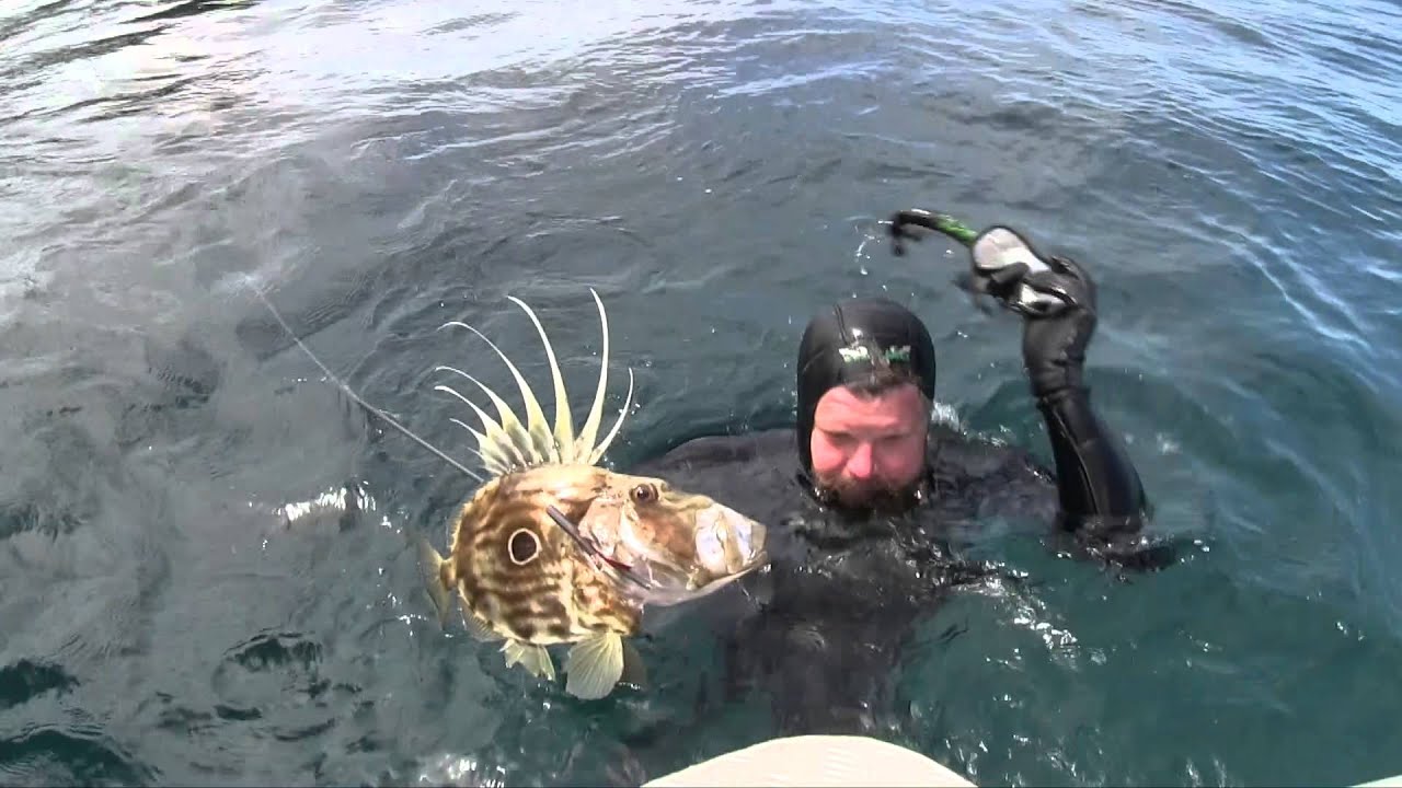 Wettie TV- Spearfishing Great Barrier Island Nov 2015 + Wettie Float Boat Action!