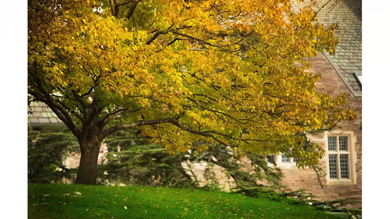 The Seasons at Princeton