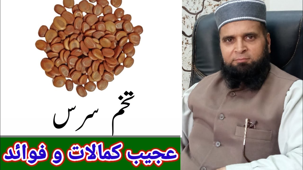 تخم سرس کے کمالات و فوائد۔۔ benefits of lebbek tree seeds۔by tabib ubaidullah anwer