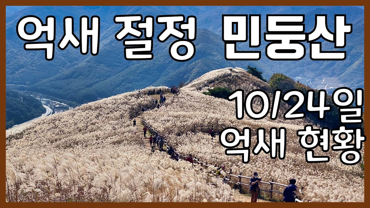 감탄이 절로 나오는 민둥산 억새 등산 가이드