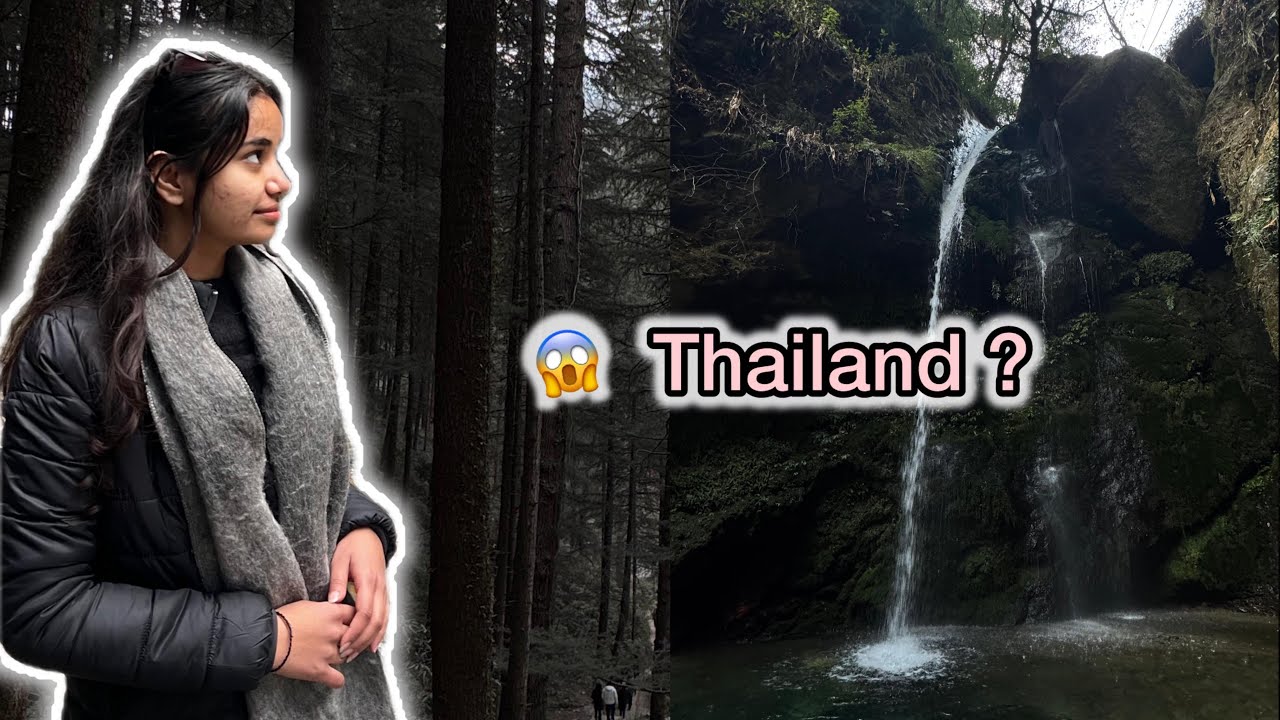 Thailand it is🌲🌴#family #thailand #trending #vacation #viral #vlog #winter #manali 