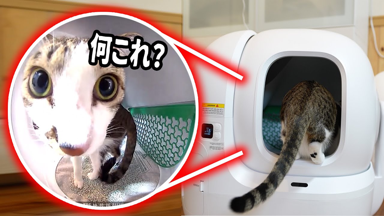 カメラ付きの自動トイレを買ったら、まさかの落とし穴が、、、