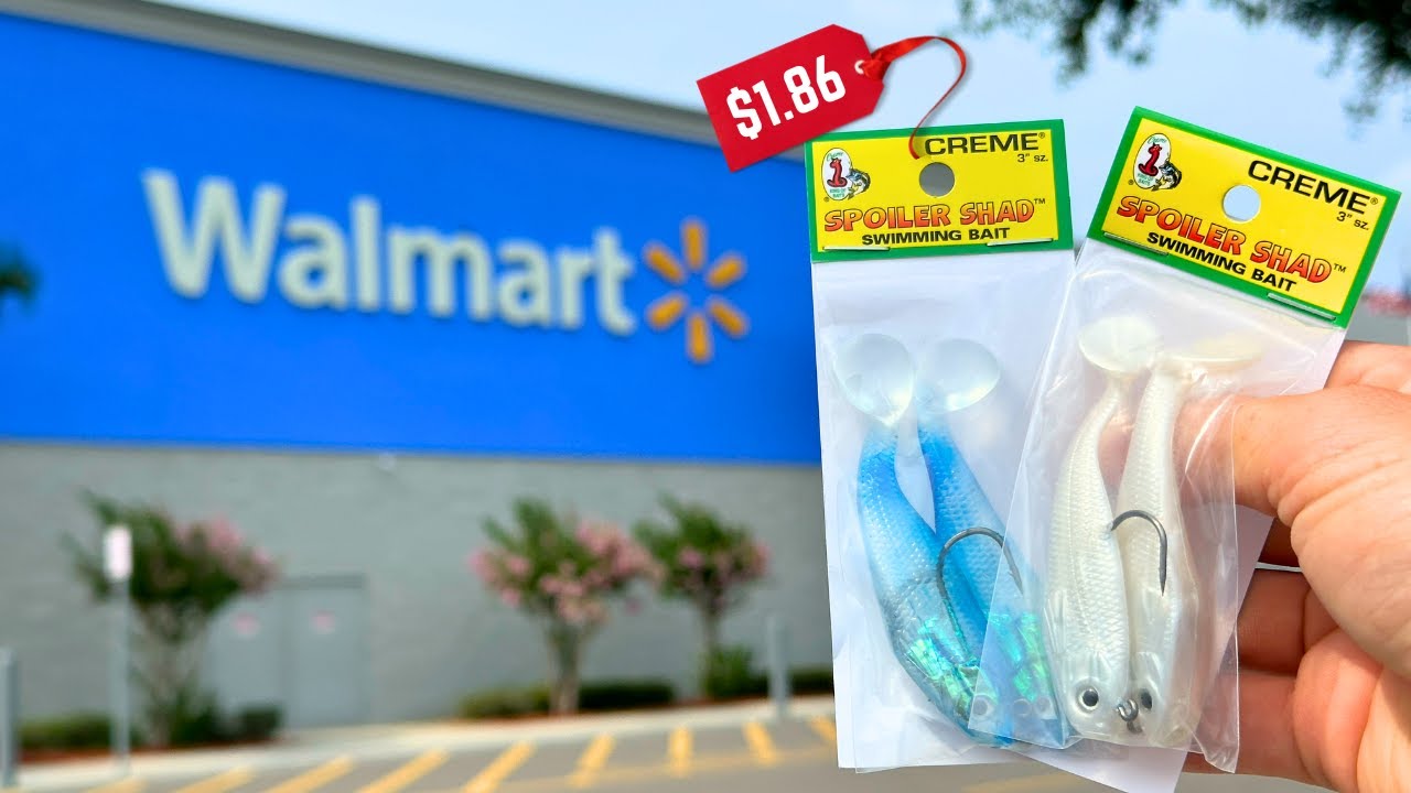Walmart Cheap Fishing Lure Challenge (Surprising Results!)
