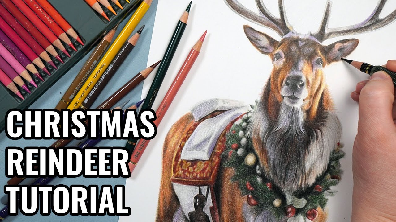 Draw a Realistic Reindeer with Polychromos | Colored Pencil Christmas Tutorial
